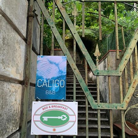 مبيت وإفطار لا سبيتسْيا Caligo المظهر الخارجي الصورة